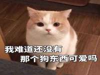 曾都区奕亨零售店