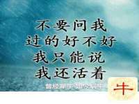 曾都区奕亨零售店