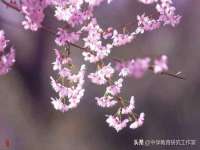 曾都区奕亨零售店
