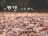 曾都区奕亨零售店