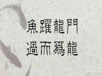 曾都区奕亨零售店