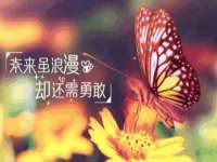 曾都区奕亨零售店