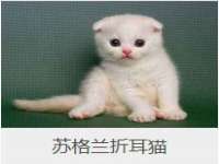 曾都区奕亨零售店
