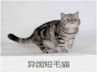 曾都区奕亨零售店