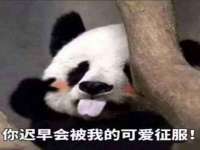 曾都区奕亨零售店