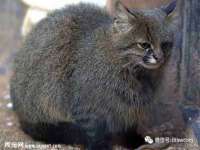 曾都区奕亨零售店