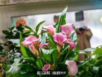 曾都区奕亨零售店