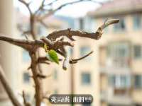 曾都区奕亨零售店