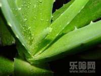 曾都区奕亨零售店