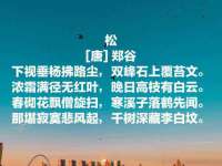 曾都区奕亨零售店