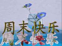 曾都区奕亨零售店