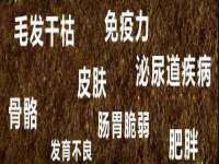 曾都区奕亨零售店