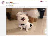 曾都区奕亨零售店