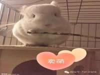 曾都区奕亨零售店