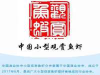 曾都区奕亨零售店