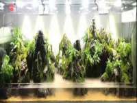 曾都区奕亨零售店