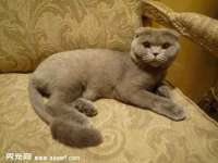 曾都区奕亨零售店