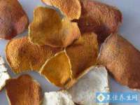 曾都区奕亨零售店