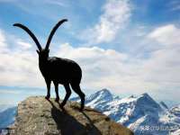 曾都区奕亨零售店