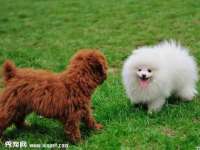 曾都区奕亨零售店