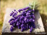 曾都区奕亨零售店