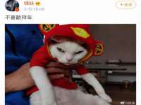 曾都区奕亨零售店