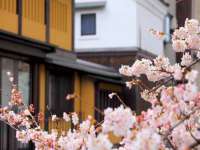 曾都区奕亨零售店